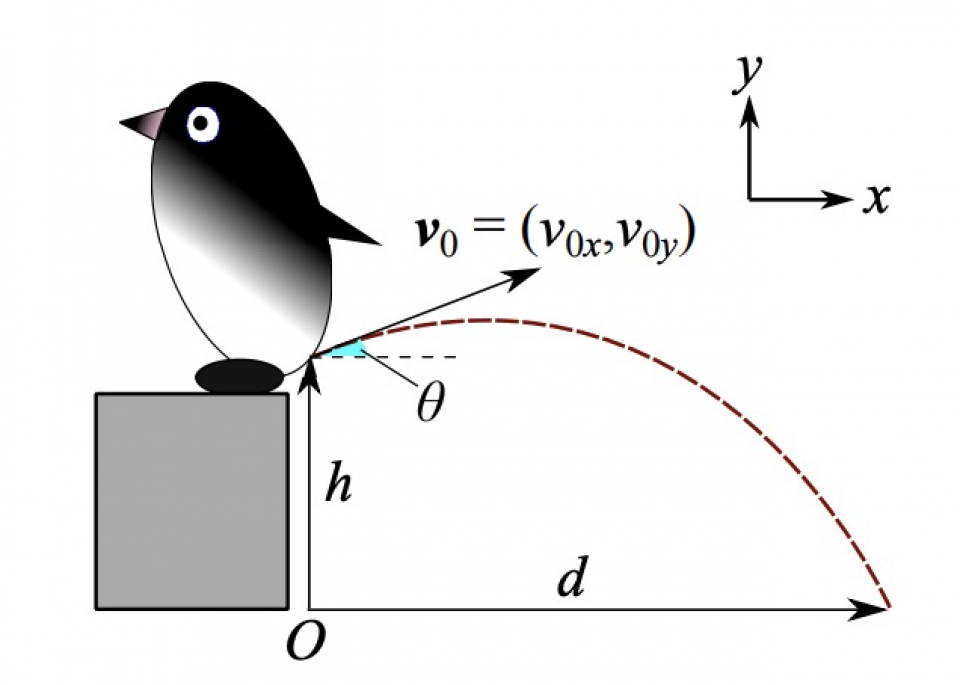 Anew Calculation of Penguin Pooing Pressure by Hiroyuki Tajima image