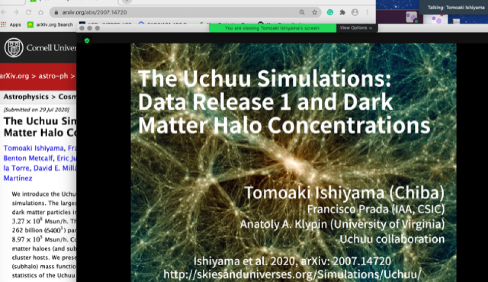 DMWG seminar by Dr. Ishiyama: a spectacular cosmological N-body simulation image
