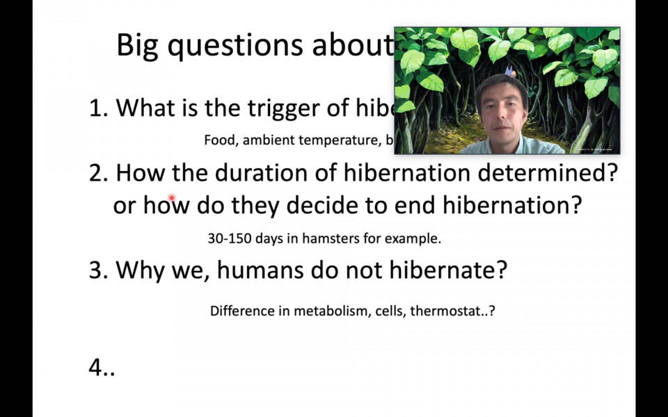 iTHEMS Biology Seminar by Dr. Gen Kurosawa on August 26, 2021 image
