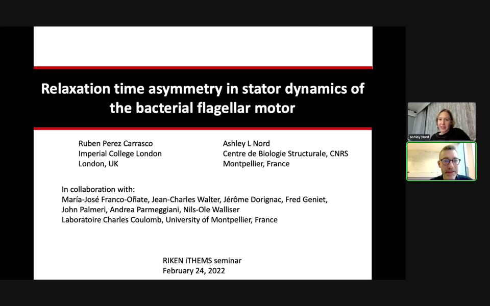 iTHEMS Biology Seminar by Dr. Ashley Nord and Dr. Rubén Pérez-Carrasco on February 24, 2022 image