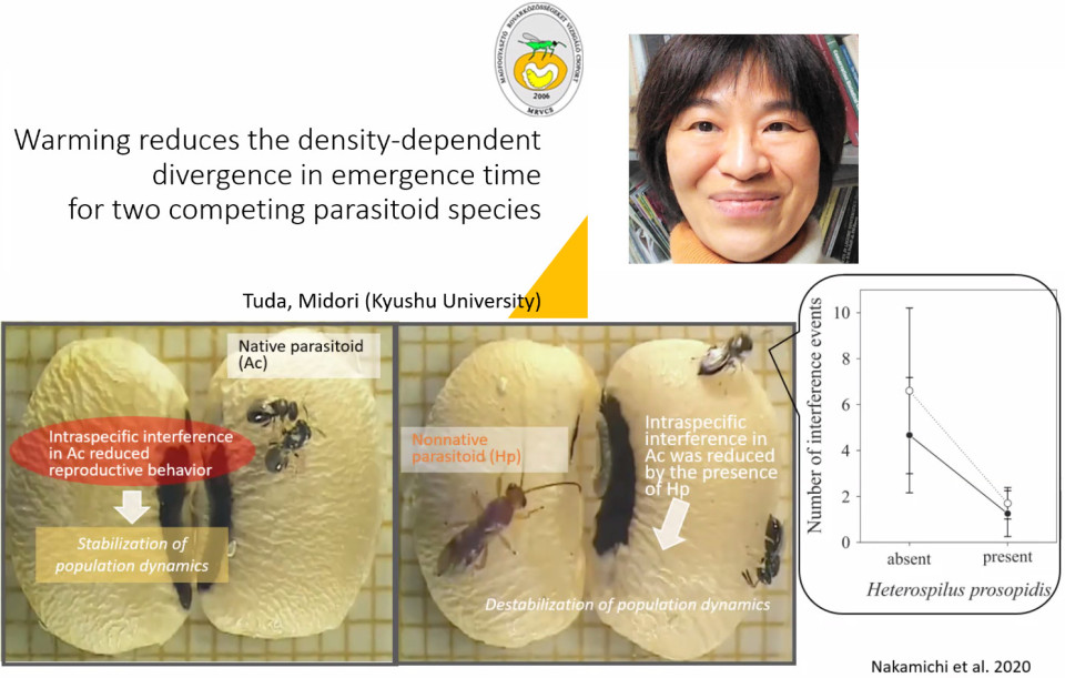 iTHEMS Biology Seminar by Dr. Midori Tuda on March 23, 2023 image