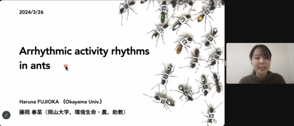 iTHEMS Biology Seminar by Haruna Fujioka on March 26, 2024 image